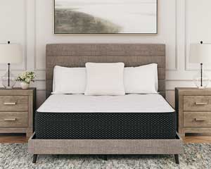 Plush Twin Mattress XL LE