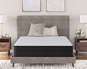 Full Palisades Plush Mattress 14"