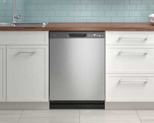 Stainless Dishwasher Built In